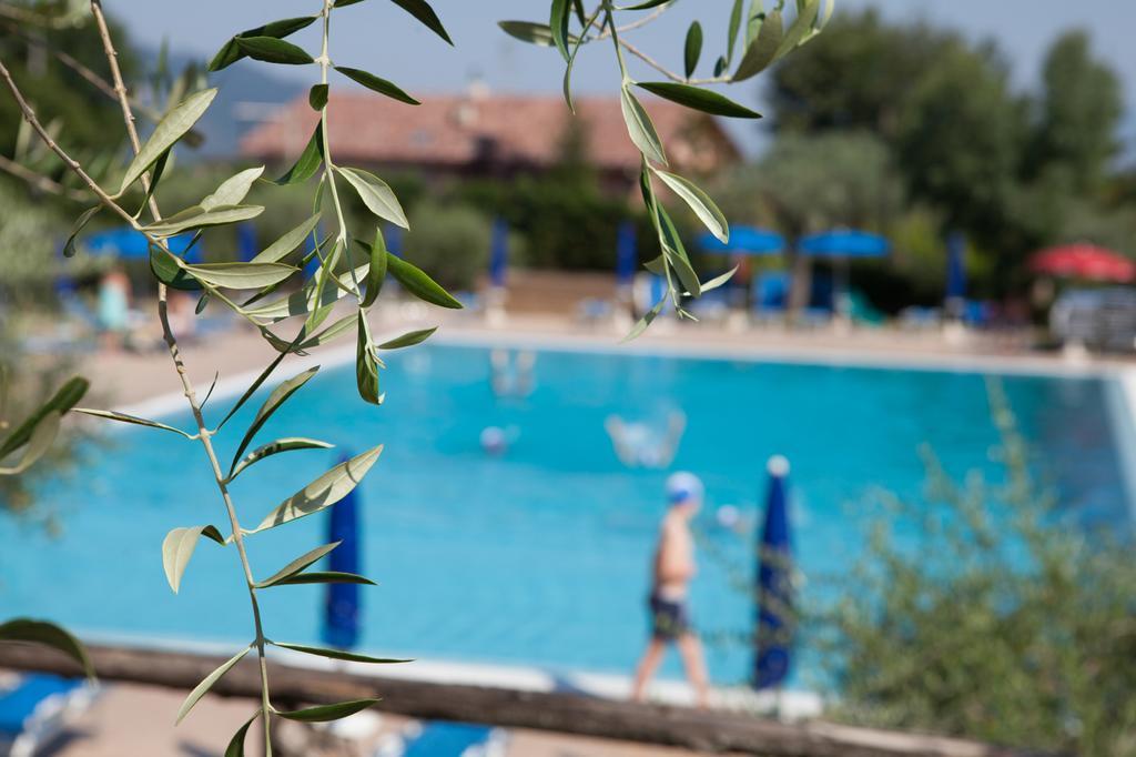 Agriturismo La Molara セッサ・アウルンカ エクステリア 写真