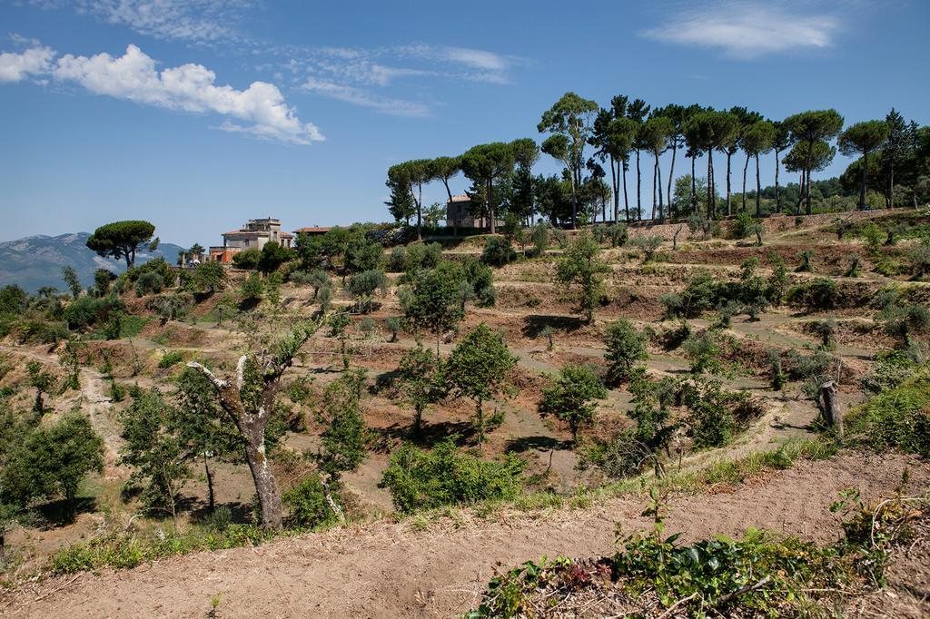 Agriturismo La Molara セッサ・アウルンカ エクステリア 写真